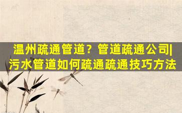 温州疏通管道？管道疏通*丨*水管道如何疏通疏通技巧方法